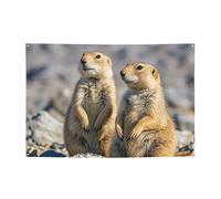 Banner Banner per interni ed esterni cartello personalizzato Due cani della prateria Banner per feste Segni riutilizzabili Cartello vuoto 300D Poliestere Decorazione Banner per la decorazione del