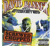 Banner, David – Mta2: Baptized in Dirty Water-Srewed & Chopped