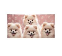 Banner di benvenuto Bandiera per feste Sfondo Fotografia Sfondo Banner Pomerania Cuccioli e Punto Segnale Fotografico Banner per Recinzione Compleanno Giardino Forniture per Feste Bomboniere