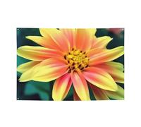 Banner personalizzato per feste di compleanno con occhielli in ottone grazioso fiore bandiera giardino decorazioni per cortile banner decorazioni per feste di compleanno sfondo per Natale matrimonio