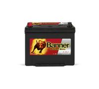 BANNER 013570240101 Batteria