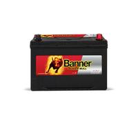 BANNER 013595040101 Batteria