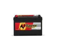 BANNER 013595050101 Batteria