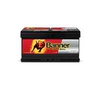 BANNER 013595330101 Batteria