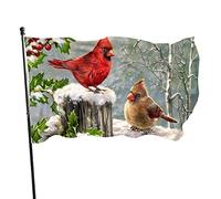 Bannière Christmas Winter Snow Bird Berries Decor Bandiere Pirata Coutures Doubles Garden Flag Per Giardino Interno Parata 90X150Cm