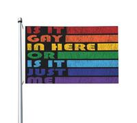 Bannière È Gay Qui? Arcobaleno Dell'Orgoglio Di Genere Occhielli In Metallo Bandiere Pirata Doppie Cuciture Bandiera Per Parata Conferenza Raduni 3X5Ft