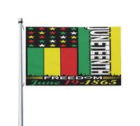 Bannière Mese Della Storia Dei Neri Libertà Di Giugno Durevole Bandiere Pirata Poliestere Garden Flag Per Conferenza Raduni Home 3X5Ft