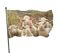 Bannière Sheep Resistente Ai Raggi Uv Bandiere Pirata Doppie Cuciture Garden Flag Per Activités Sportives Home Eventi 90X150Cm