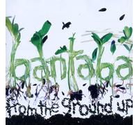 Bantaba - From the Ground Up