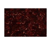 Banworks Battipenna per chitarra a 4 strati, 43,5 x 29 cm, piastra posteriore per chitarra elettrica, basso JT/HBMP-01, colore: marrone scuro tartarugato