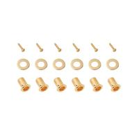 Banworks Set di piroli per accordatura chitarra, rondelle, viti e boccole, set di 6 viti + 6 boccole + 6 rondelle per basso elettrico chitarra acustica JT/JXQLS-04 dorato