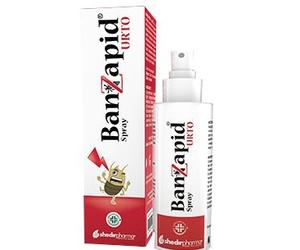 BANZAPID SPR TRATTAMENTO 100ML