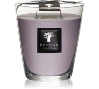 Baobab Collection All Seasons White Rhino candela profumata 1000 g