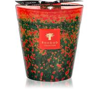 Baobab Collection Arty Flowers Poppies candela profumata 1000 g