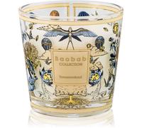 Baobab Collection My First Baobab Tomorrowland candela profumata 190 g