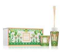 Baobab Collection My First Baobab Tomorrowland confezione regalo