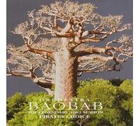Baobab Orchestra - Pirates Choice