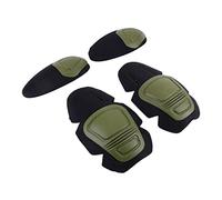 Baobiutin PASSIONE PROFESSITÀ PASSIONI GIENE E PASSIONI DEL GUNI