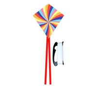 Baoblaze Aquilone Arcobaleno Facile da Far Volare, Resistente agli Strappi, per Principianti, con in Fibra di Vetro, Divertimento Estivo all'aperto, Aquilone E Tavola a Cavo