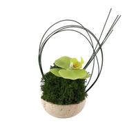 Baoblaze Composizione Floreale Artificiale Orchidea con Piante Decorative Arrangiamento da Tavolo con Aste Sottili E Anelli in Metallo Base Solida Effetto Pietra Adatta per Scrivania Reception
