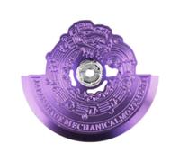 Baoblaze Movimento meccanico automatico per orologio, rotore a maglio, pezzo di ricambio, massa oscillante professionale per 6R36, 6R35, 7S36, Viola