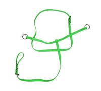 Baoblaze Strumento Equestre con Anelli per Abbassamento Testa Cinghia Flessibile con Fibbie Multi Sezione per Adattamento Diverse Taglie Adatta Riabilitazione Posturale Equitazione.