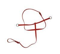 Baoblaze Strumento Equestre con Anelli per Abbassamento Testa Cinghia Flessibile con Fibbie Multi Sezione per Adattamento Diverse Taglie Adatta Riabilitazione Posturale Equitazione.