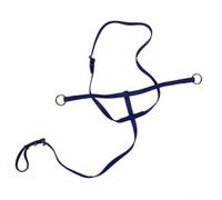 Baoblaze Strumento Equestre con Anelli per Abbassamento Testa Cinghia Flessibile con Fibbie Multi Sezione per Adattamento Diverse Taglie Adatta Riabilitazione Posturale Equitazione.