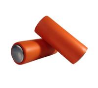 Baoblaze Training Dumbbell Manubrio Compatto da per Esercizi di con Pallina Rumorosa in Acciaio E Impugnatura Ergonomica Adatto a Sportivi Palestra Allenamento a Casa, Arancione