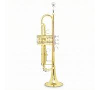 Baoblaze Tromba in Si Bemolle Tromba in Ottone Tromba Standard Strumento a Fiato Suono Risonante Corpo in Ottone Finitura Accessori Completi Adatta per Bande