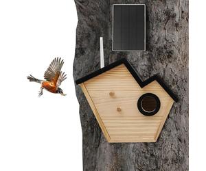 BAOCHADA Smart casetta per uccelli con fotocamera e modulo solare - HD 1080p, streaming in tempo reale, rilevamento intelligenza artificiale per 10.000+ specie, visione notturna, IP65, legno di pino