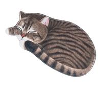 BaoFufc Tappetini per porta d'ingresso 3D a forma di gatto, antiscivolo, per interni ed esterni, motivo cartoni animati, tappetini da bagno, decorazioni, tappetini da ingresso per interni, grandi