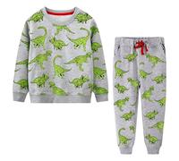 Baogaier Tuta Sportiva Ragazzo Cotone Bambini Abbigliamento Maglieria Abiti Felpa Pantaloni Sweatshirt Jogging Motivo Animale Dinosauro Grigio Verde Autunno Inverno Primavera Suit Bambino 3 4 Anni