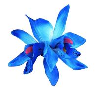 baojielai Elegante fermaglio per capelli colorato doppio floreale decorazione per capelli per bambini accessori per capelli per donne e ragazze