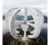 BAOJUHUIKANG Generatore Eolico Verticale a Basso Rumore da 3000W, con 5 Pale, Kit Motore Generatore Eolico a ASSE Verticale per Giardino e Casa (12V-220V),220V