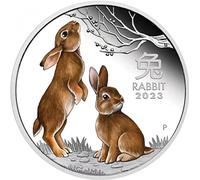 Baokuan The Rabbit Australia Animal Commemorative Coins Silver Colorful Elizabeth II Souvenir Regali di Capodanno