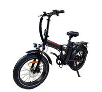 Baolujie DZ2031 bici elettrica per adulti 5 bici elettrica con motore fuoristrada 48 v13ah batteria 20 pollici pneumatico per tutti i terreni bici elettrica green