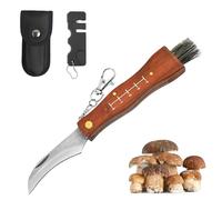 BAOSROY Coltello per Funghi,Coltello a Funghi con Spazzola,Coltellino per Raccogliere,Coltellos Funghi In Acciaio Inox,Coltellos Micologica Manico in Legno,Set regalo