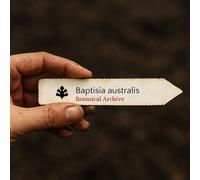 Baptisia australis SEEDS - - SEMI Indaco falso blu | Indaco selvatico