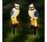 Baquler 2 luci solari estive da giardino Bluebird Blue Jay decorative per vialetti da giardino blu ghiandaia paletti da giardino blu uccello statuetta luce solare per vialetto prato cortile cimitero