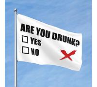 Bar Stuff For Man Cave You Drunk Flag Dorm Room Funny Windsocks Outdoor (60 x 90 cm)