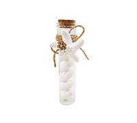 BARATTI Kit Bomboniere Fai da Te con Gessetto Stella Marina KBA2388 segnaposto Festa (Provetta PR11)