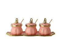 Barattolo per condimenti, Barattolo di spezie in ceramica con coperchio Barattolo di condimento Set di zuccheriere Scatola di immagazzinaggio di spezie Zuccheriera SalieraContenitore Pentole for condi