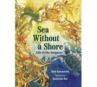 Barb Rosenstock Sea Without a Shore (Copertina rigida)