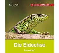 Barbara Rath Die Eidechse: Schauen und Wissen (Copertina rigida)