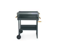 Barbecue a Carbone KILAUEA Dimensioni 87 x 52 x h90 cm | Griglia di cottura: 59