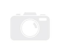 FireFriend Tristar, BQ-6395, Piastra a Gas, con 3 Fornelli