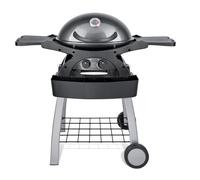 Barbecue a Gas GPL 2 Fuochi 5,2kW 2 Ripiani con Carrello Twin Grill Grigio