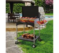 Barbecue a Legna con Griglia in Acciaio Famur BK 8 Elite