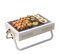 Barbecue portatile a carbonella, in acciaio inox, per interni ed esterni, ideale per campeggio e viaggi